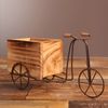 IS1oRetro-Flower-Pot-Wooden-Bicycle-Shaped-Succulent-Planter-Iron-Art-Flowerpot-Flower-Stand-Home-Yard-Garden.jpg