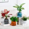 aGpgPlastic-Flower-Pot-Succulent-Plant-Pot-Self-Watering-Planter-Pots-Home-Tabletop-Flower-Pot-Home-Bonsai.jpg