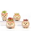 52IzCeramic-Owl-Flower-Pot-Garden-Office-Decoration-Succulent-Mini-Owl-Flowerpot-Cute-Animal-Flowerpot-Cactus-Plants.jpg