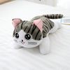 GArF20cm-5-Styles-Cute-Cat-Plush-Toys-Doll-Soft-Animal-Cheese-Cat-Stuffed-Toys-Dolls-Pillow.jpg