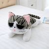 mvt420cm-5-Styles-Cute-Cat-Plush-Toys-Doll-Soft-Animal-Cheese-Cat-Stuffed-Toys-Dolls-Pillow.jpg