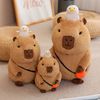 xEBsCapybara-Plush-Toy-Simulation-Capibara-with-Fruits-Fluffy-Doll-Stuffed-Animals-Bubble-Pendant-Funny-Kids-Gift.jpg