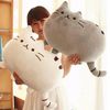 bww940-30cm-Kawaii-Cat-Pillow-With-Zipper-Only-Skin-Without-PP-Cotton-Biscuits-Plush-Animal-Doll.jpg