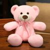 M57n9-Colors-New-Bear-Plush-Toys-Pillow-Stuffed-Animal-Comfort-Soft-Teddy-Bear-Dolls-Cartoon-Anime.jpg
