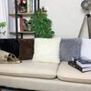 CQcCSoft-Plush-Faux-Fur-Decorative-Cushion-Pillowcase-Throw-Pillow-For-Sofa-Car-Chair-Hotel-Home-Decoration.jpg