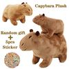 i0T9Simulation-Capybara-Plush-Toys-Capybara-Plushie-Dolls-Soft-Stuffed-Animals-Kawaii-Kids-Toy-Peluche-Christmas-Gift.jpg