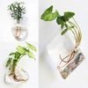 sfKuFashion-Wall-Hanging-Glass-Flower-Vase-Terrarium-Wall-Fish-Tank-Aquarium-Container-Flower-Planter-Pots-Home.jpg