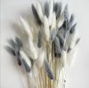 S2Mq50PCS-Bunny-Rabbit-Tail-Grass-Natural-Dried-Flowers-Bouquet-Wedding-Christmas-Decoration-Lagurus-Pampas-Home-Decor.jpg