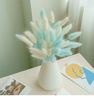 cD0350PCS-Bunny-Rabbit-Tail-Grass-Natural-Dried-Flowers-Bouquet-Wedding-Christmas-Decoration-Lagurus-Pampas-Home-Decor.jpg