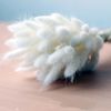 aVDo50PCS-Bunny-Rabbit-Tail-Grass-Natural-Dried-Flowers-Bouquet-Wedding-Christmas-Decoration-Lagurus-Pampas-Home-Decor.jpg