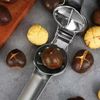 B4cuHousehold-Raw-Chestnut-Cross-Opener-Chestnut-Opener-Household-Chestnut-Peeling-Artifact-Peeling-Machine-Peels-Off-The.jpg