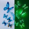 FJhRNew-12Pcs-Fashion-3D-Luminous-Butterfly-Creative-Wall-Sticker-For-DIY-Wall-Stickers-Modern-Wall-Art.jpg