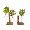 nUxfTerrarium-Hydroponic-Plant-Vases-Vintage-Flower-Pot-Transparent-Vase-Wooden-Frame-Glass-Tabletop-Plants-Home-Bonsai.jpg