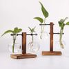 n0XbHydroponic-Plant-Terrarium-Vasevase-Decoration-Home-Glass-Bottle-Hydroponic-Desktop-Decoration-Office-Green-Plant-Small-Potted.jpg