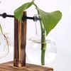 zq0ZHydroponic-Plant-Terrarium-Vasevase-Decoration-Home-Glass-Bottle-Hydroponic-Desktop-Decoration-Office-Green-Plant-Small-Potted.jpg