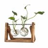 9H0bHydroponic-Plant-Vases-Glass-Vase-Vintage-Bonsai-Flower-Pot-Terrarium-Tabletop-Tray-Wooden-Frame-Home-Decor.jpg