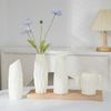 dIJQNordic-Plastic-Flower-Vase-Hydroponic-Pot-Vase-Decoration-Home-Desk-Decorative-Vases-for-Flowers-Decoration-Maison.jpg