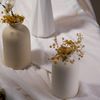 COUaSimple-Ceramic-Vase-Dining-Table-Decorations-Wedding-Decorations-Nordic-Home-Living-Room-Decorations-Vase.jpg