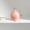 mOrLIns-Ceramics-Flower-Vase-Nordic-Hydroponics-Vases-Creative-Room-Decor-Mini-Flower-Plant-Bottle-Pots-Desktop.jpg