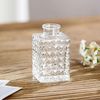 VfJEINS-Mini-Wedding-Glass-Flower-Vase-Embossed-Retro-Transparent-Hydroponics-Plant-Vase-Desktop-Ornaments-Home-Decoration.jpg