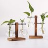 QRqbHydroponic-Plant-Terrarium-Vasevase-Decoration-Home-Glass-Bottle-Hydroponic-Desktop-Decoration-Office-Green-Plant-Small-Potted.jpg