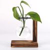 mD6aHydroponic-Plant-Terrarium-Vasevase-Decoration-Home-Glass-Bottle-Hydroponic-Desktop-Decoration-Office-Green-Plant-Small-Potted.jpg