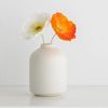 GabRWhite-Mini-Ceramics-Vase-Simple-Nordic-Creative-Flower-Vase-Home-Living-Room-Table-Flower-Bottle-Crafts.jpg