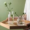 crALNordic-Glass-Vase-Home-Decoration-Accessories-Ins-Transparent-Plant-Hydroponic-Bottle-Living-Room-Wedding-Table-Decor.jpg