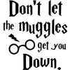 16. Don_t let the muggles.jpg