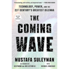 The Coming Wave: Technology, Power, and the Twenty-first Century's Greatest Dilemma