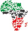 AFRICA ANIMALS COLOR.jpg