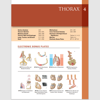 Classic Regional Approach - Ebook (Netter Basic Science) 8th Edition4.png