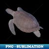 WZ-54505_Real turtle swimming T-shirt photo printed on the front 2798.jpg