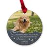 Personalized Wood Dog Memorial Ornament Forever.jpg