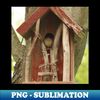 PO-21190_House Wren Peeking From Birdhouse 4812.jpg