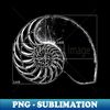 WS-15772_Fibonacci on a nautilus shell 8653.jpg