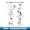 OD-9698_Cats Breeds of the World 5291.jpg