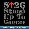 BX-48382_Original stand up to cancer 3531.jpg