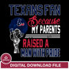 Houston Texanssvg,eps,dxf,png file 1.jpg