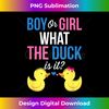 KD-20240115-10104_Gender Reveal Boy Or Girl What The Duck Is It 1537.jpg
