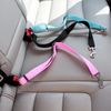 Pet-Dog-Cat-Car-Seat-Belt-Dog-Accessories-Adjustable-Harness-Lead-Leash-Small-Medium-Travel-Clip.jpg_Q90.jpg_.webp (3).jpg