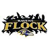 Baltimore Ravens Flock Silhouette SVG.jpg