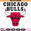 Chicago Bulls.jpg