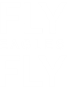 FLY eagles FLY (3).png