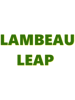 LAMBEAU LEAP.png