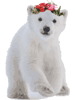 Polar Bear Vector .png