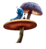 Mushroom (3).png