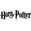 2. Harry potter.jpg