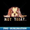 Not Today Cavalier King Charles Spaniel Dog - High-Quality PNG Sublimation Download