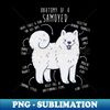 Samoyed Dog Anatomy - Signature Sublimation PNG File